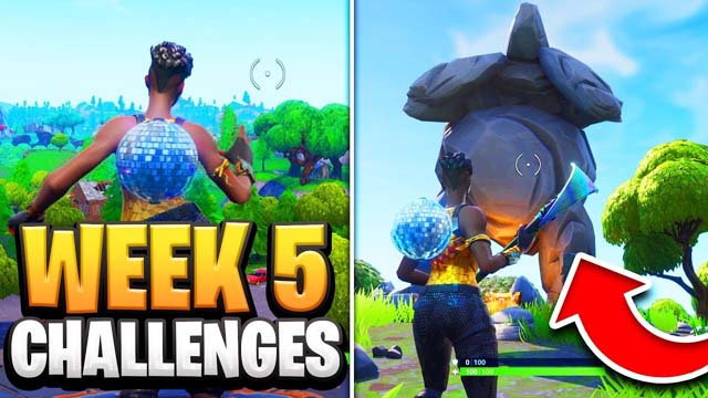 week 5 challenge guide